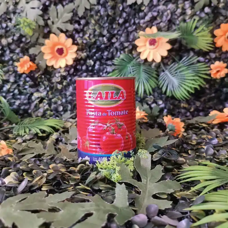 Pasta de tomate