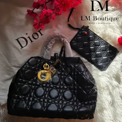 Cartera Dior