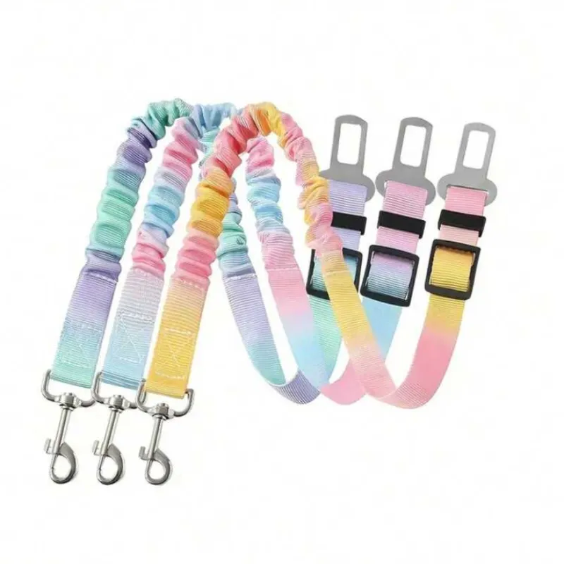 Cinturón de seguridad en el auto