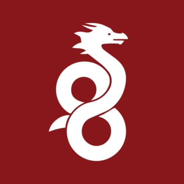 WireGuard VPN & Protocol Service