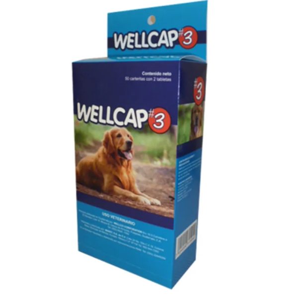 Well Cap