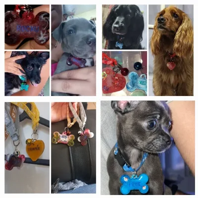 Plaquitas de identificación para mascotas