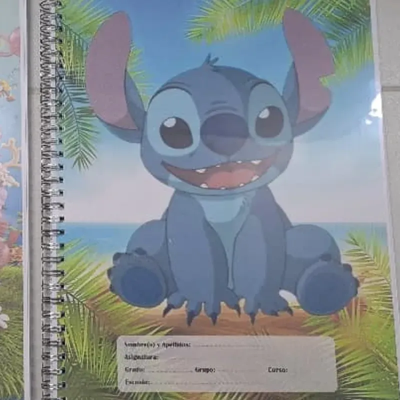  Libretas Grandes Personalizadas