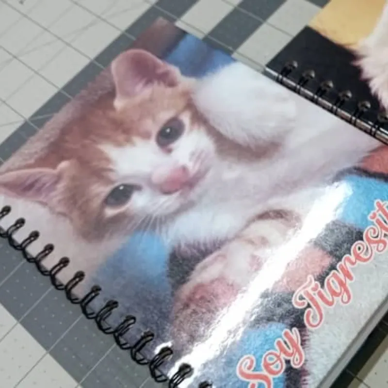 Historial Veterinario