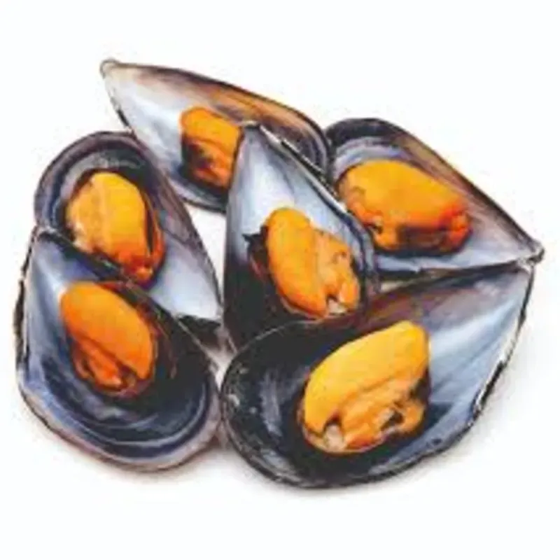 Mejillon 1.50lb