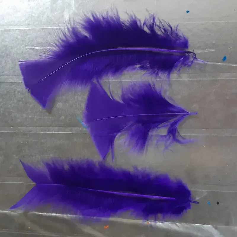 PLUMAS DECORATIVAS 13 - 20 UNIDADES