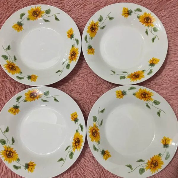 Juego de 4 platos hondos grandes