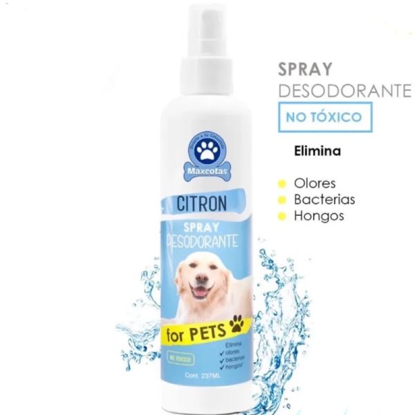 Spray desodorante con clorexidina