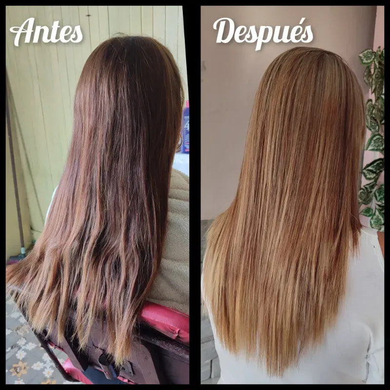Corte