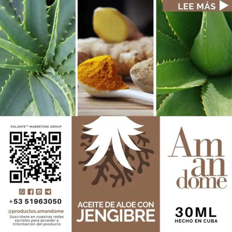 ACEITE DE ALOE VERA Y JENGIBRE 30ml