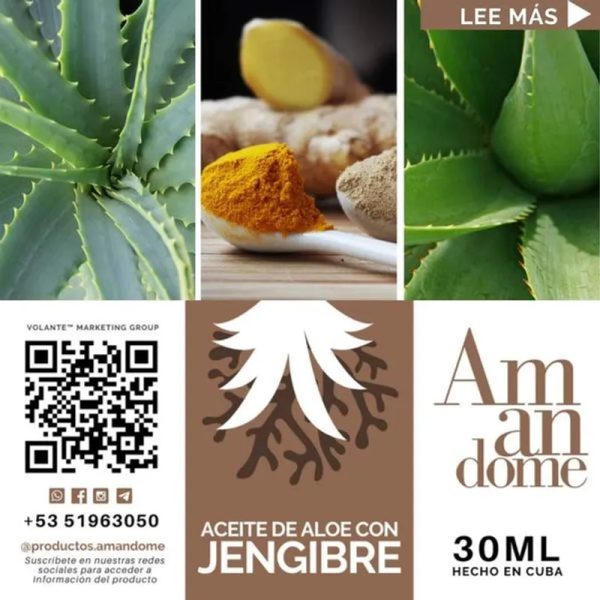ACEITE DE ALOE VERA Y JENGIBRE 30ml