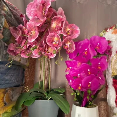 Adornos de orquídeas