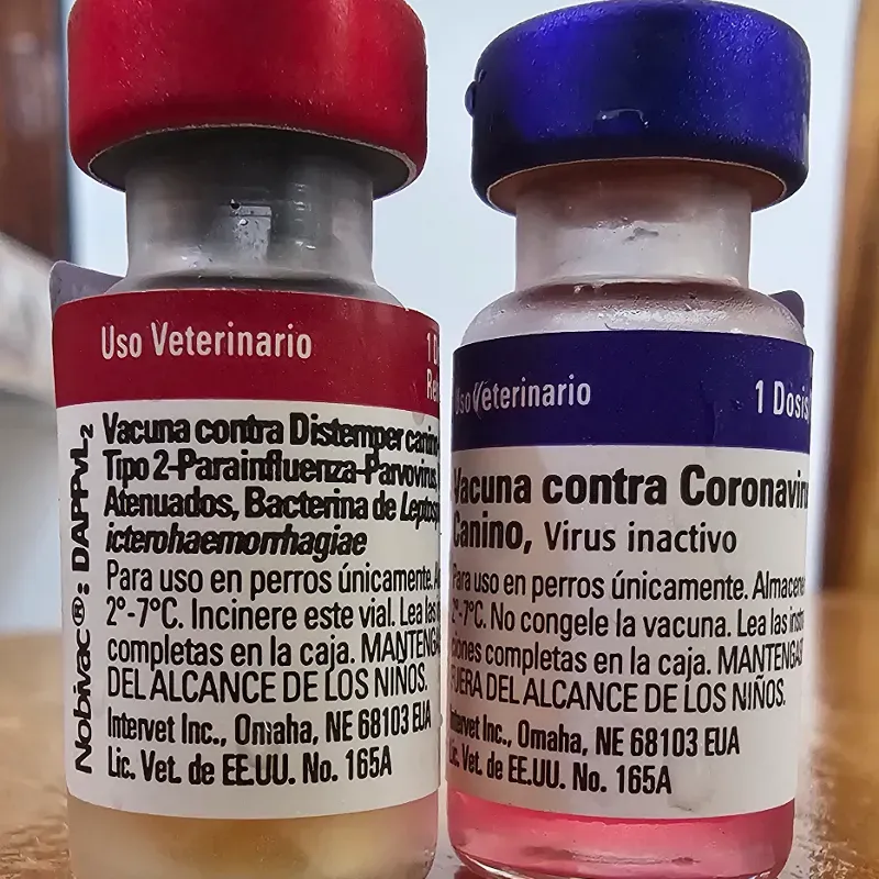 HEXAVALENTE AMERICANA