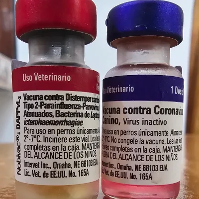 HEXAVALENTE AMERICANA