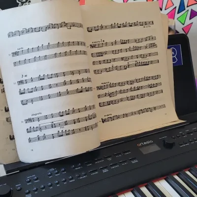 Clases de Solfeo  en el Vedado. Talleresdearte_habana