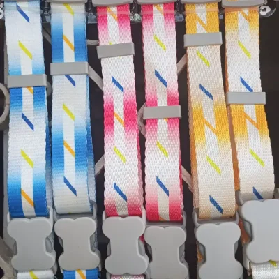 Collar para perros medianos y grandes