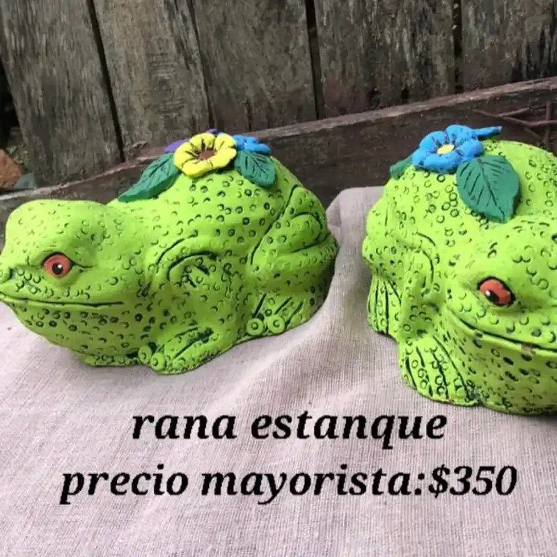 Rana de estanque