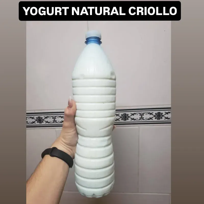 YOGURT NATURAL CRIOLLO
