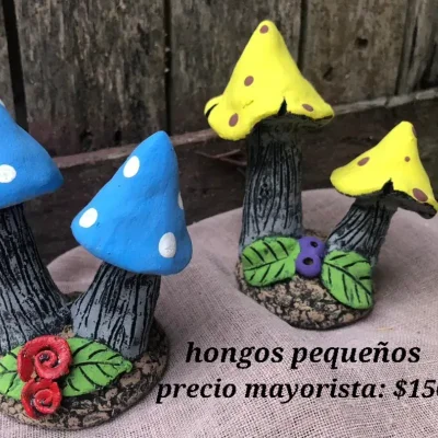 Hongos pequeños