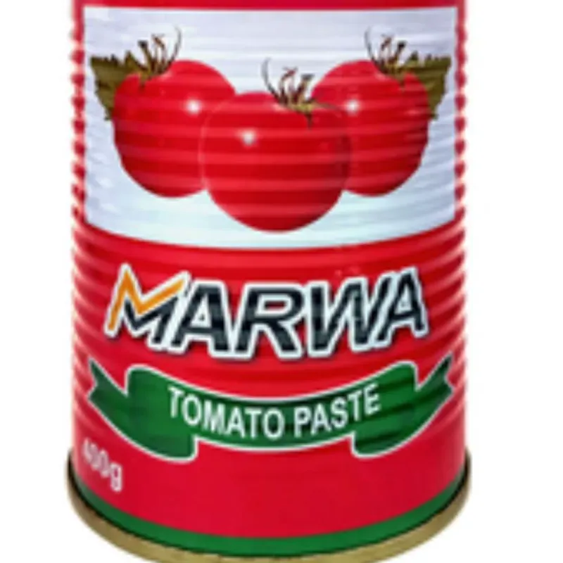PASTA DE TOMATE MARWA 400g