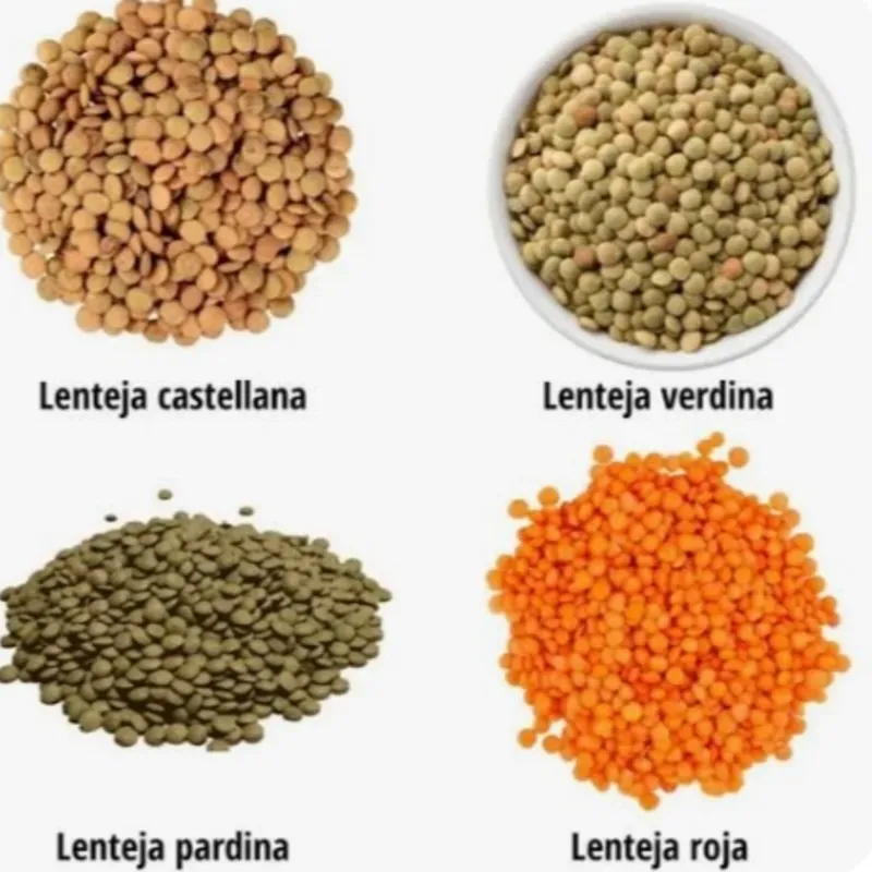LENTEJAS...