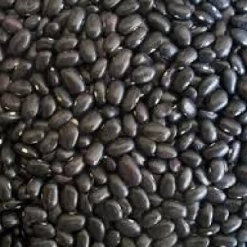 FRIJOLES NEGROS