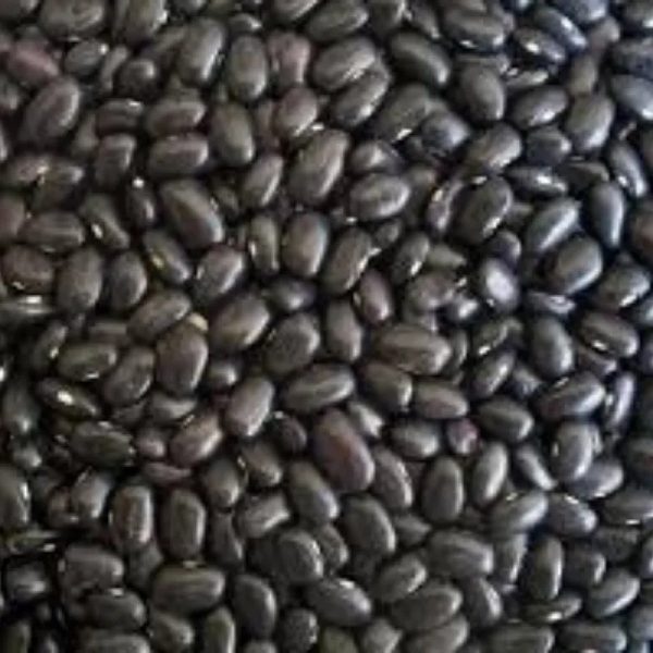 FRIJOLES NEGROS
