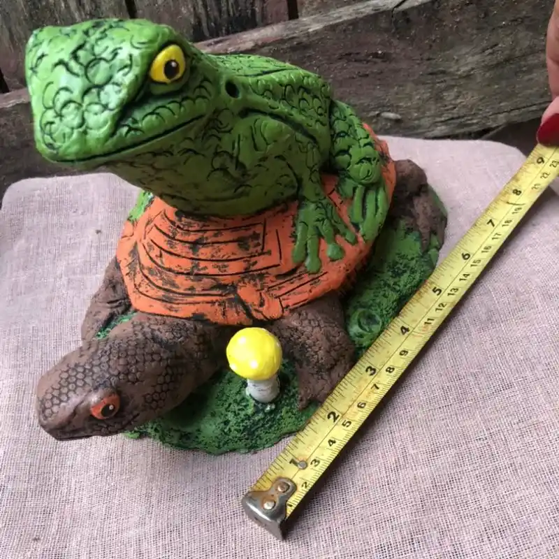 Rana sobre jicotea grande