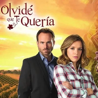 Olvidé que te Quería