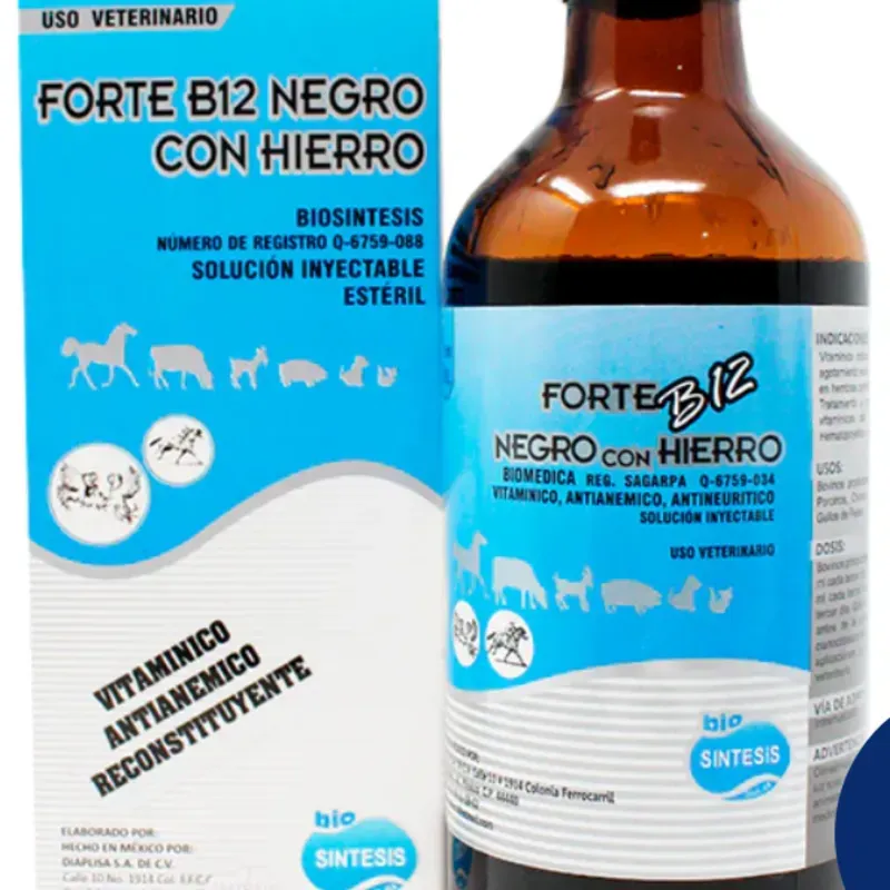 Forte B12 Negro con Hierro de 250 ML