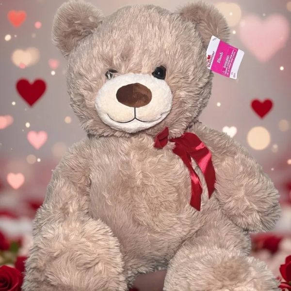 OSO DE PELUCHE GRANDE!!