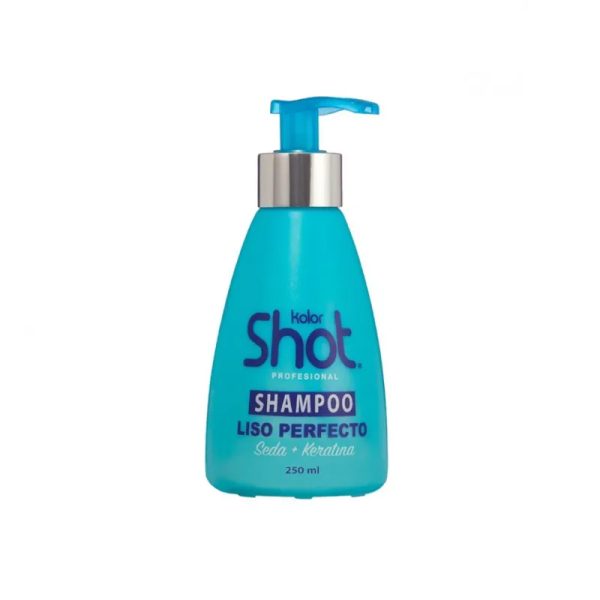 Champú Liso Perfecto