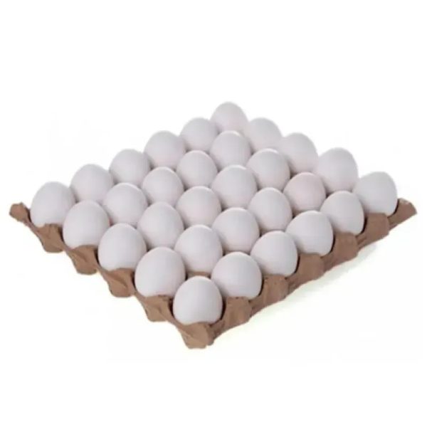 Huevos