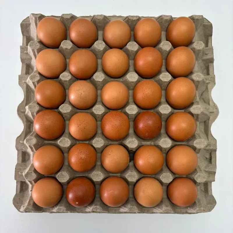 Carton de Huevos Orgánicos