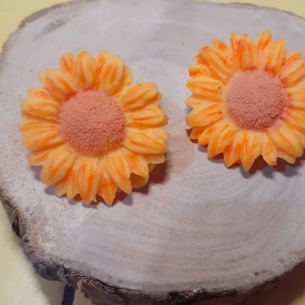 Aretes