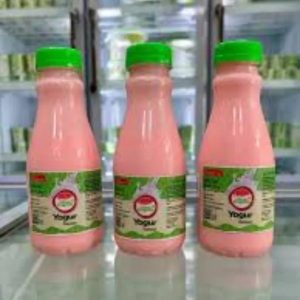 YOGURT EXTASIS