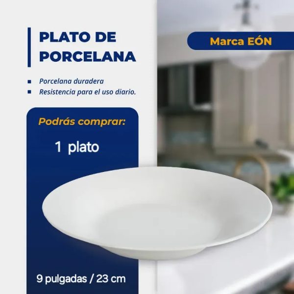 PLATO DE PORCELANA 1 UNIDAD BLANCO (FAD)