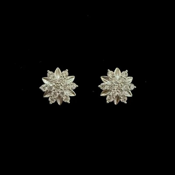 Aretes 327