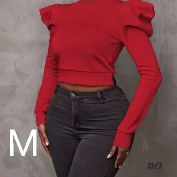 Blusa