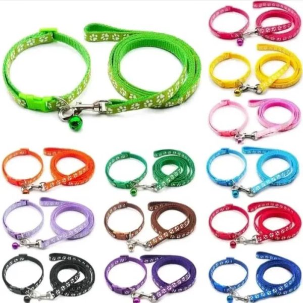 COLLAR + CORREA