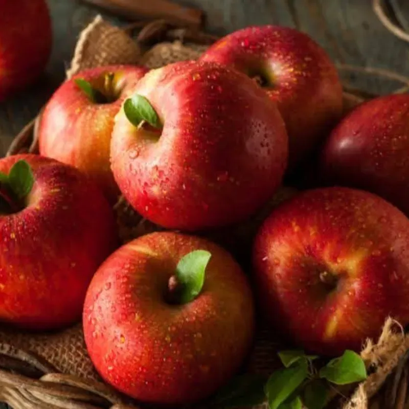 Manzana