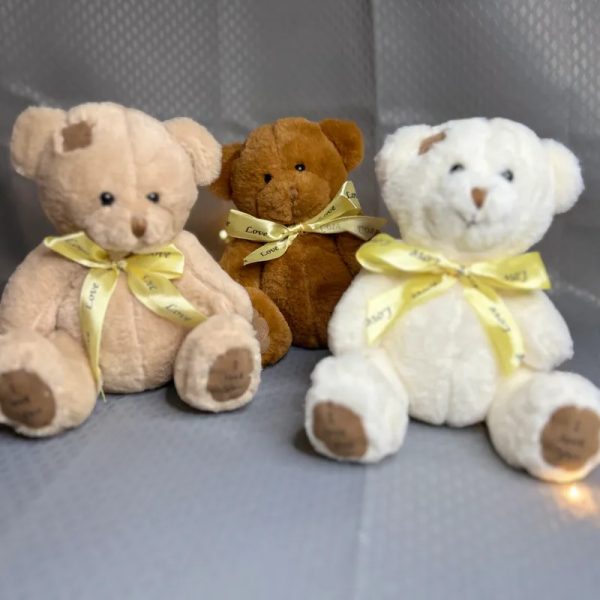 Osos de peluche medianos