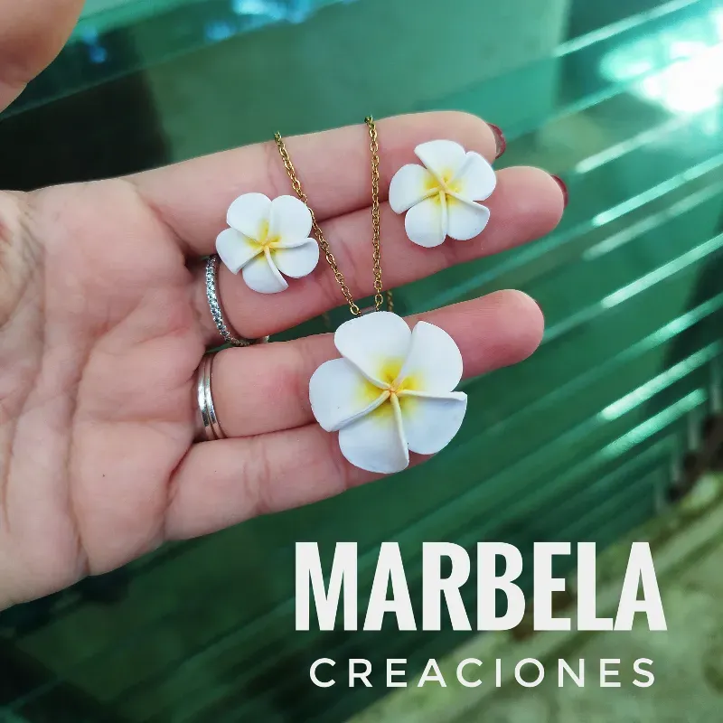 ✨Juego de collar y aretes de Plumerias✨