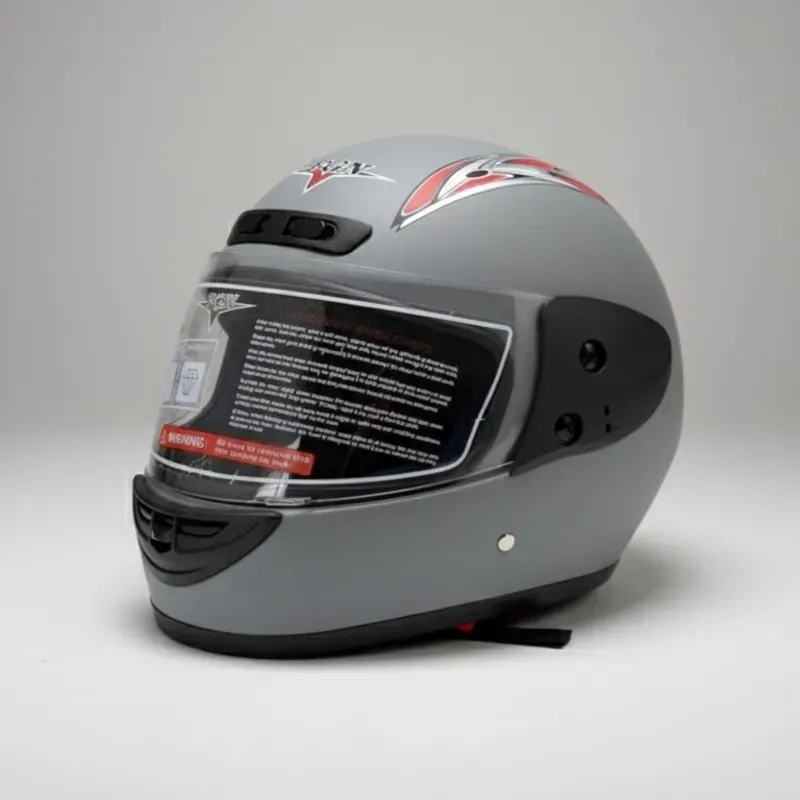 CASCO INTEGRAL GRIS (VPT)