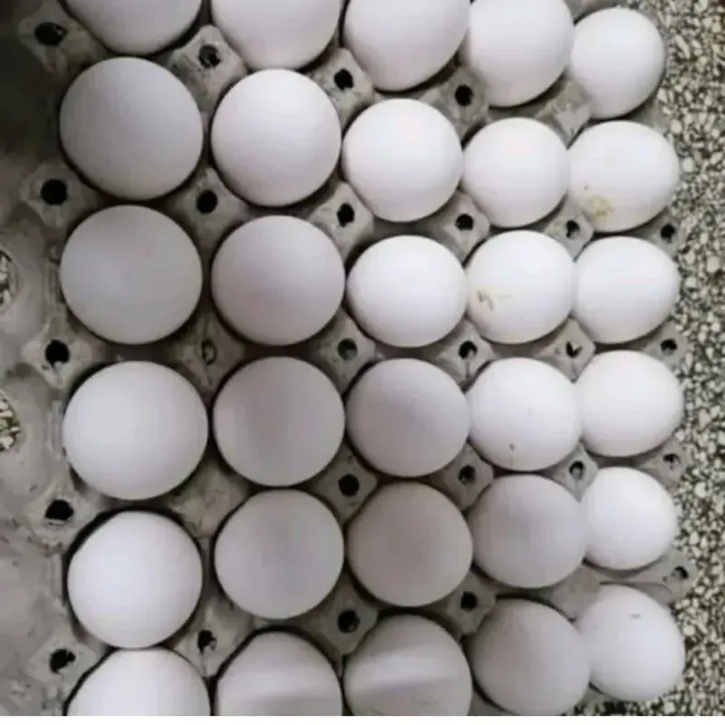 File de huevos