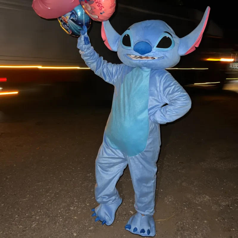 STICH