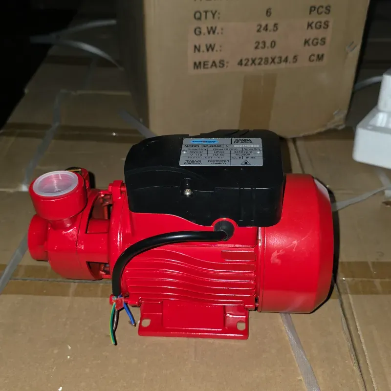 Bomba de agua silver point