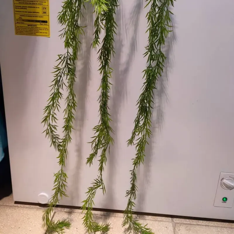 Ramillete de follaje