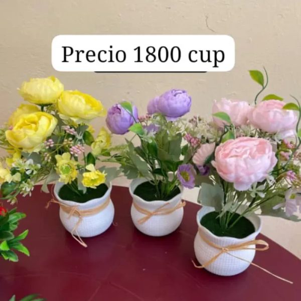 Macetas con rosas