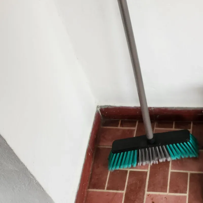 Escoba con palo